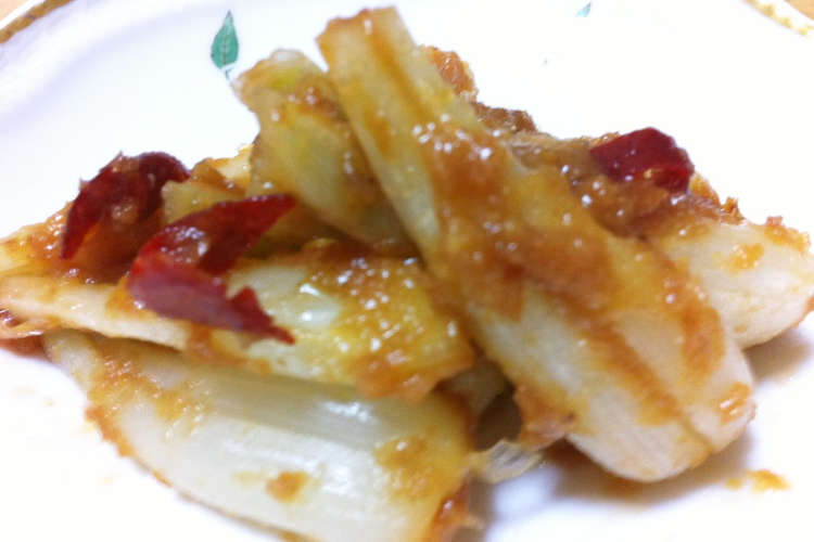 島らっきょうの味噌漬け レシピ 作り方 By ふわふわふわふわ クックパッド