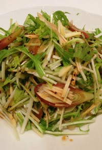 千切り生姜と水菜サラダ