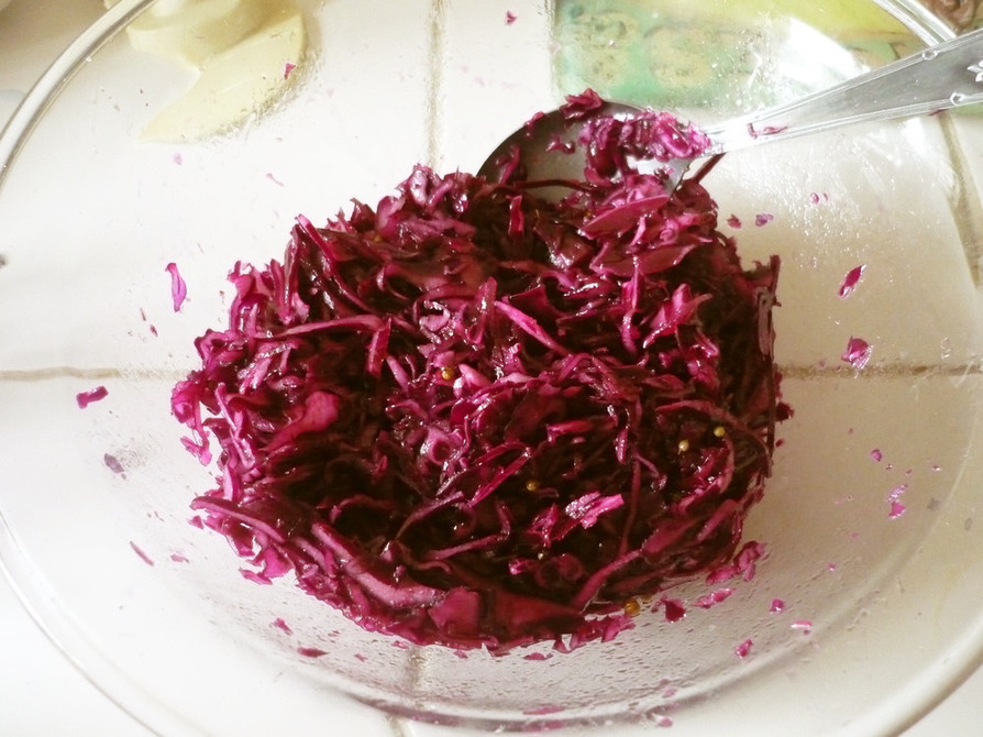 紫キャベツのサラダの画像
