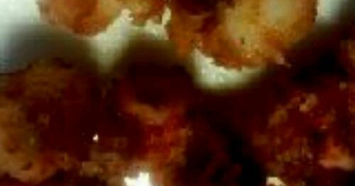 タコ 生 茹で 絶品唐揚げ レシピ 作り方 By あーな クックパッド 簡単おいしいみんなのレシピが359万品