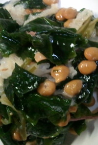 ネバトロ海藻サラダ