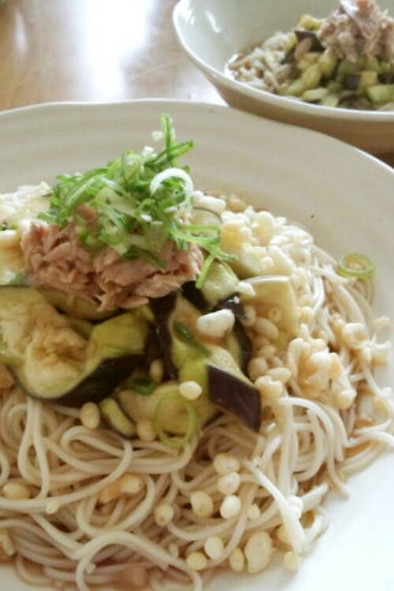 蒸しなすのぶっかけそうめん☆離乳食にも♪の写真