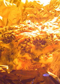 えのきだけのチーズ青海苔マヨネーズ焼き