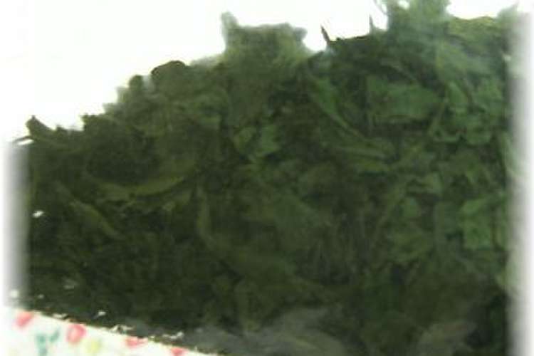 イタリアンパセリの保存 レシピ 作り方 By ｙｕｋａｒｉ クックパッド 簡単おいしいみんなのレシピが357万品