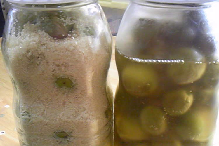 おやつ ２種類の梅シロップ レシピ 作り方 By ほっぺとえくぼ クックパッド 簡単おいしいみんなのレシピが365万品