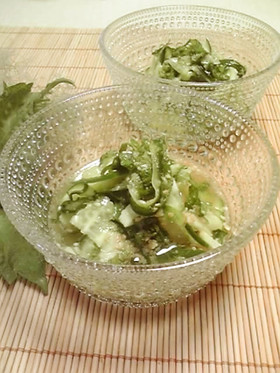 簡単☆大葉と胡瓜で夏に涼しげな酢の物