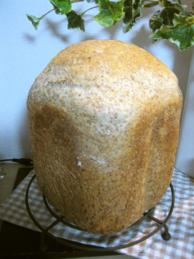 ♡　小麦胚芽食パン　♡の写真