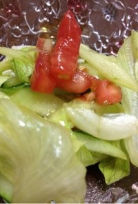 簡単ドレッシングで生野菜サラダ