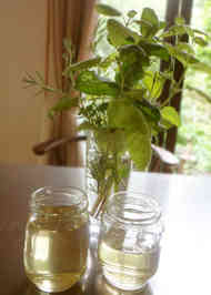 みんなが作ってる レモンバーム シロップのレシピ クックパッド 簡単おいしいみんなのレシピが357万品