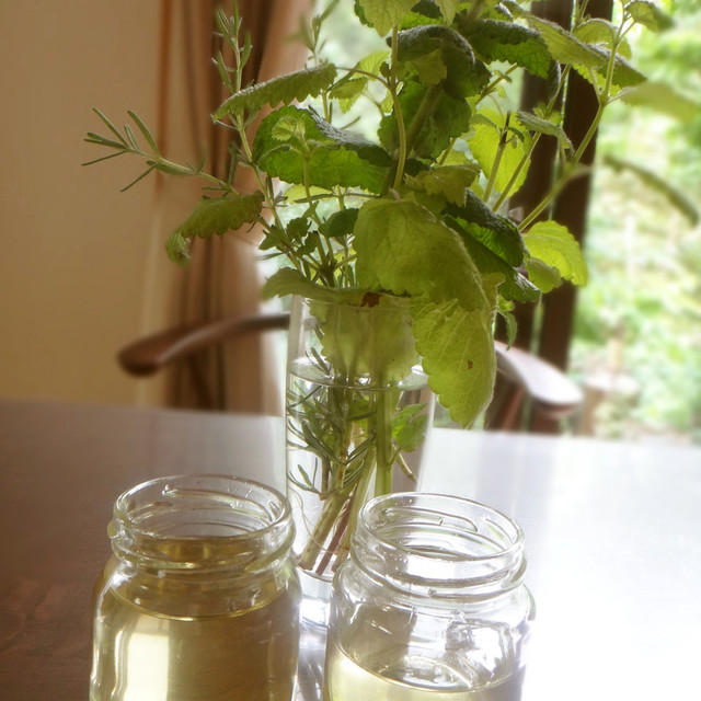 爽やかな香り ミントシロップ レシピ 作り方 By しおみ クックパッド 簡単おいしいみんなのレシピが357万品