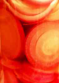 みんなが作ってる 紫玉ねぎの酢漬けのレシピ クックパッド 簡単おいしいみんなのレシピが349万品