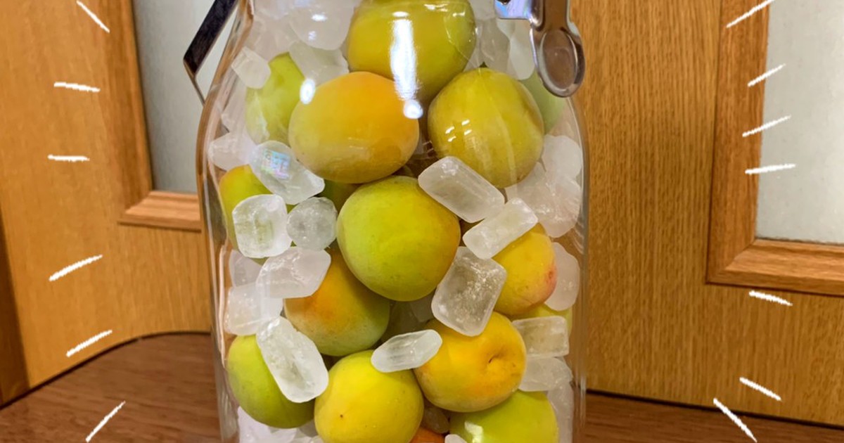和歌山県民が教えます 本当の 梅シロップ レシピ 作り方 By ちおりんご クックパッド 簡単おいしいみんなのレシピが355万品