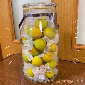 和歌山県民が教えます!本当の♡梅シロップ