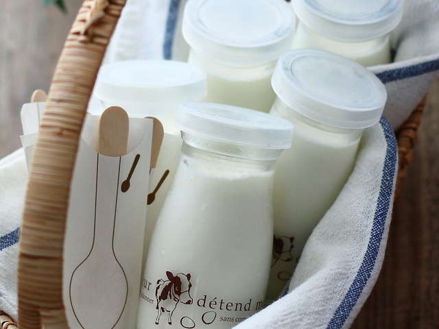 ミルク プリン 作り方