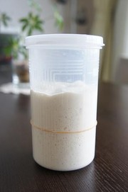 自家製酵母 元種作り②の写真