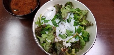 本格韓国料理：オジンオ(イカ)ビビンパの写真