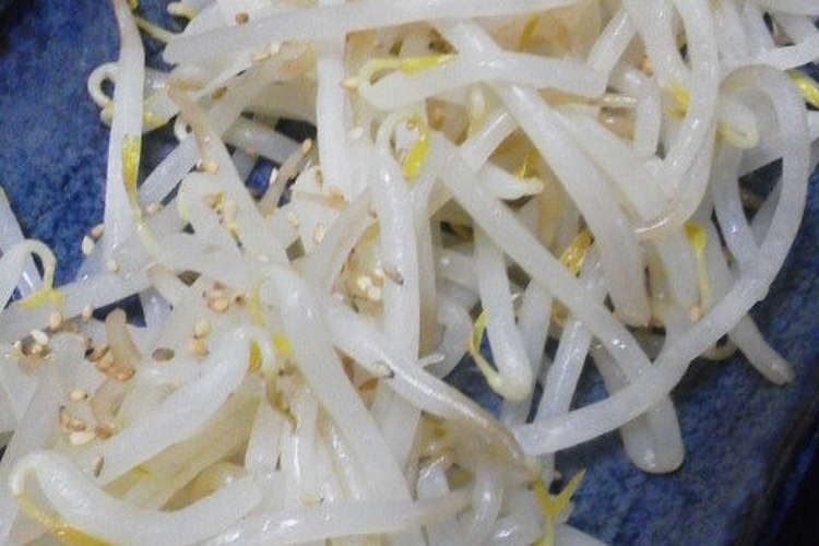 シャキシャキ茹で もやし レシピ 作り方 By Emilycoco クックパッド 簡単おいしいみんなのレシピが352万品