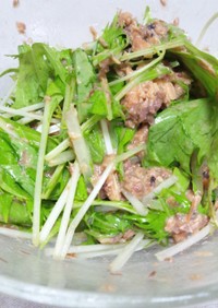 サバ味噌煮缶×水菜のサラダ