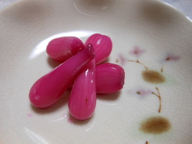 ラッキョウの「赤紫蘇梅酢漬け」の写真