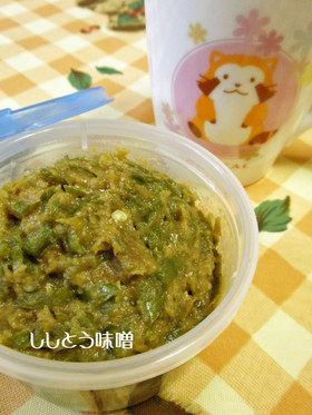 夏のご飯のお供に最適♪ししとう味噌
