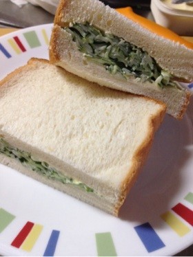 きゅうり大量消費!きゅうりだけサンド