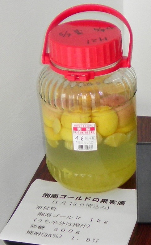 ☆湘南ゴールド☆の果実酒の画像