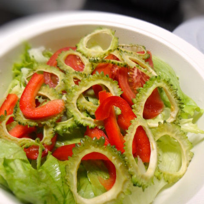 みんなが作ってる ゴーヤ チップ 揚げないのレシピ クックパッド 簡単おいしいみんなのレシピが354万品