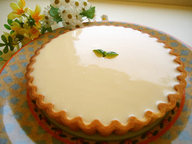 簡単☆ヨーグルトレアチーズケーキ