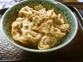 塩麹で作る塩ネギ豚丼