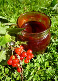 みんなの フサスグリ レシピが7品 クックパッド