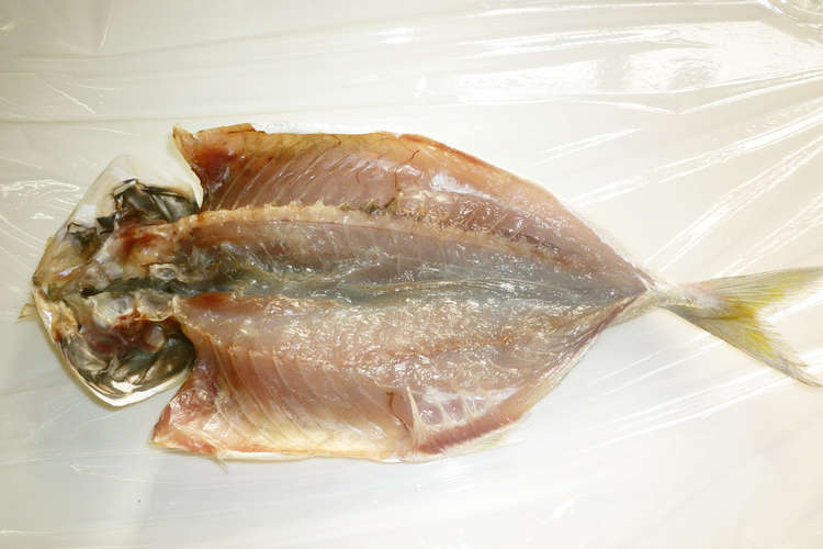 アジの干物の作り方～釣り人編～
