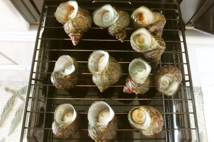 ニシガイ 赤螺貝 の壷焼き レシピ 作り方 By みかんるい クックパッド 簡単おいしいみんなのレシピが354万品