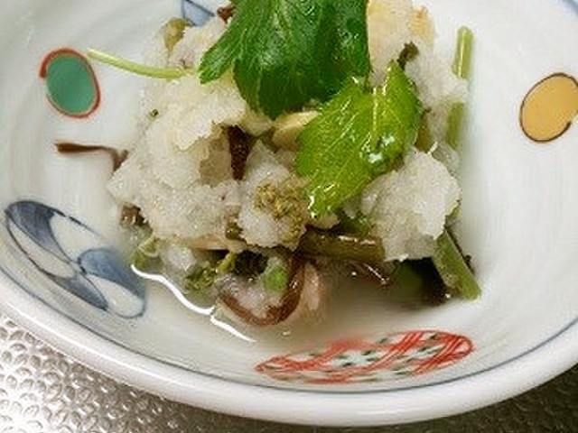 山菜の水煮の大根おろし和え レシピ 作り方 By Ohaginehan クックパッド 簡単おいしいみんなのレシピが354万品