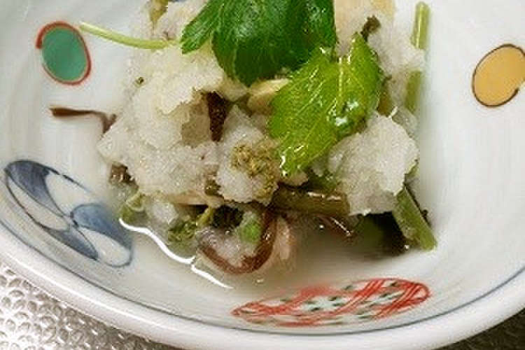 山菜の水煮の大根おろし和え レシピ 作り方 By Ohaginehan クックパッド 簡単おいしいみんなのレシピが354万品