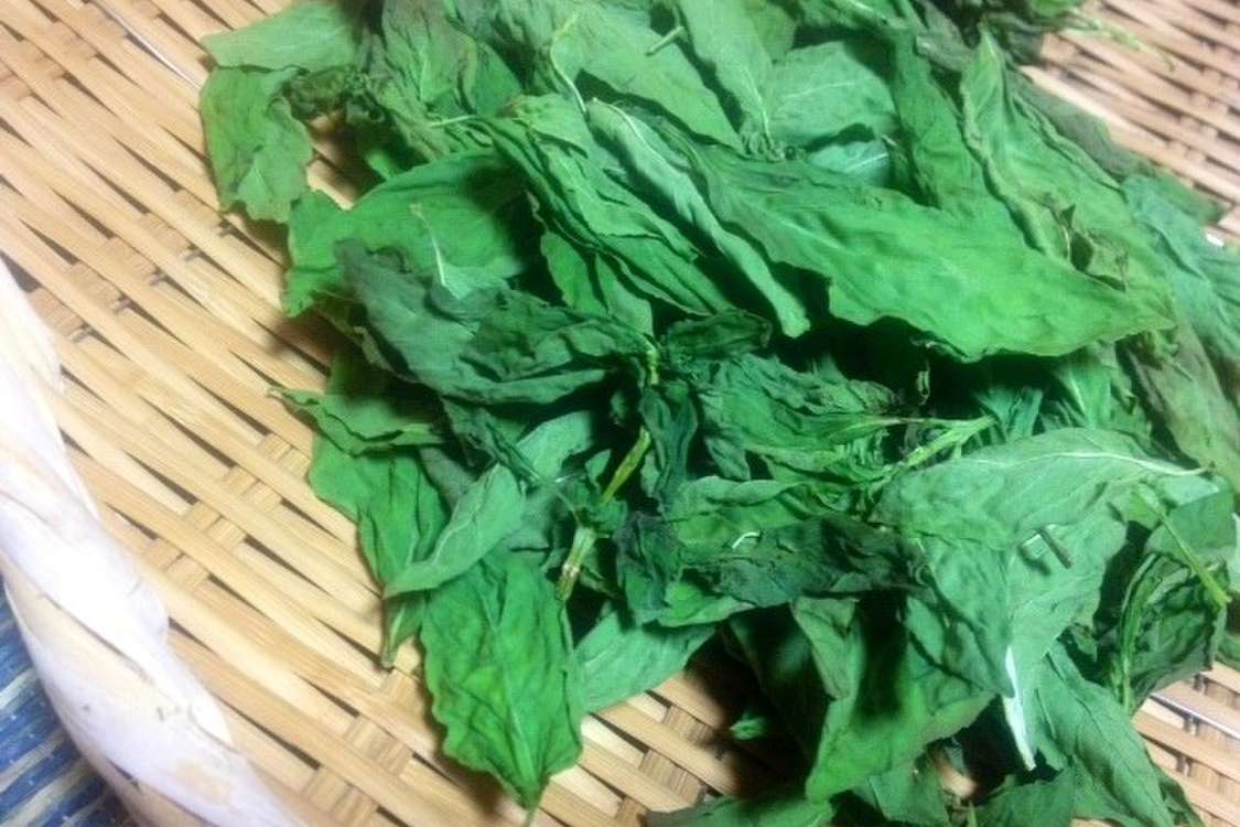チンして簡単 黒くならない乾燥バジル保存 レシピ 作り方 By 無農薬野菜もうり農園 クックパッド 簡単おいしいみんなのレシピが379万品