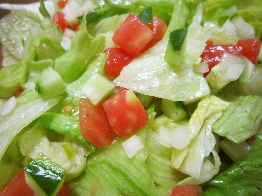 レタストマトきゅうりセロリ玉ねぎサラダの画像