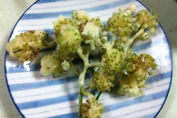 山ウドの花の天ぷら レシピ 作り方 By うちこっこ クックパッド 簡単おいしいみんなのレシピが349万品