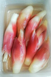 夏の保存食~みょうがのさっぱり漬けの写真