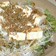 塩豆腐とカリカリ雑魚の和風サラダ