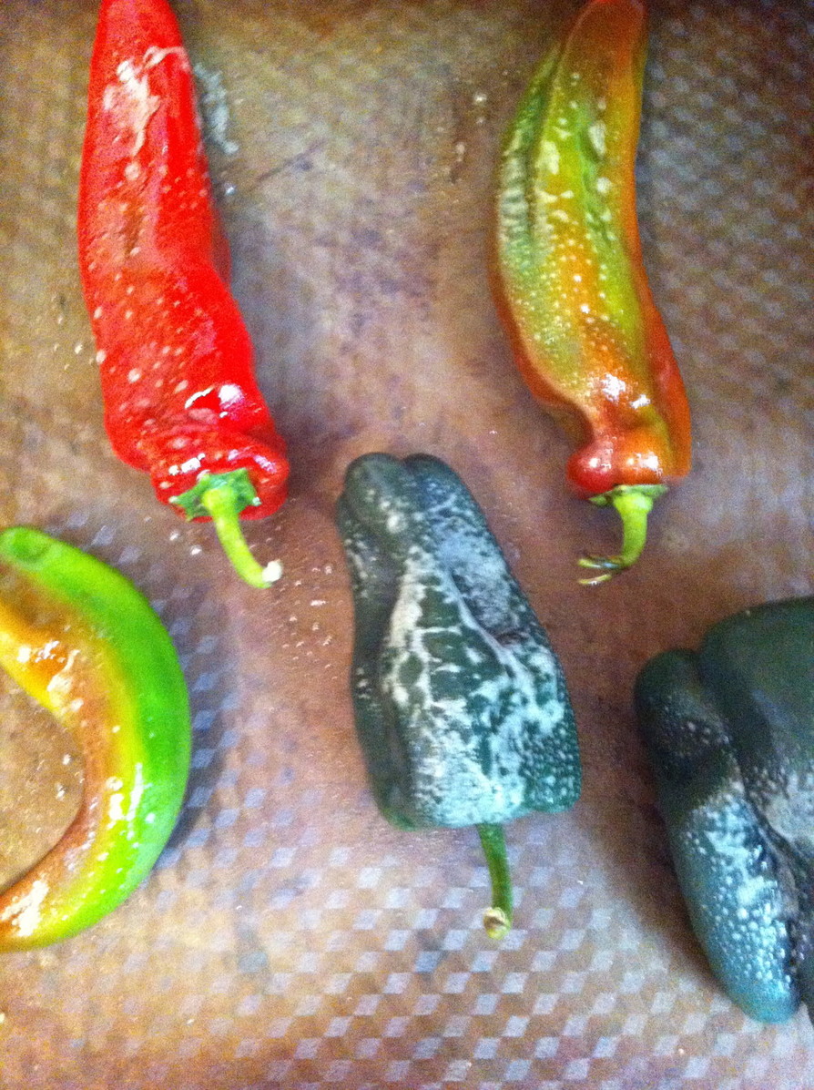 Spicy Greenチリソース by むちmuchiko 【クックパッド】 簡単おいしいみんなのレシピが395万品