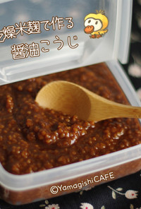 乾燥麹で作る醤油麹♡観察レシピ