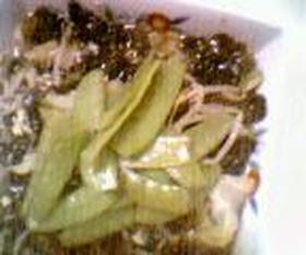 キクラゲと豚肉のさっぱりいため