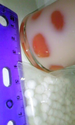 タピオカ粉から作るタピオカ