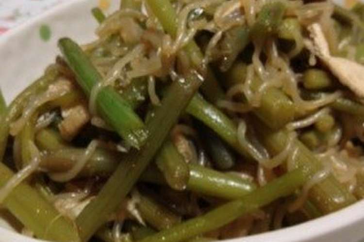 ミズ 山菜 の油炒め レシピ 作り方 By 花音とママ クックパッド 簡単おいしいみんなのレシピが356万品