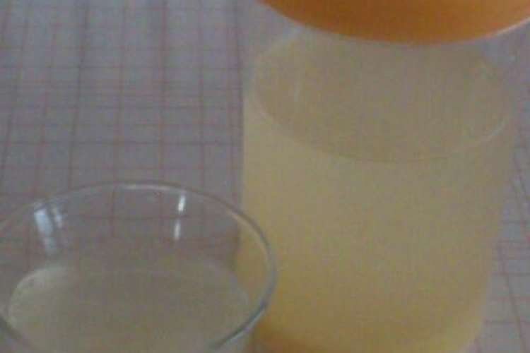 簡単ジンジャーエールの素 レシピ 作り方 By ばたこがーる クックパッド 簡単おいしいみんなのレシピが360万品