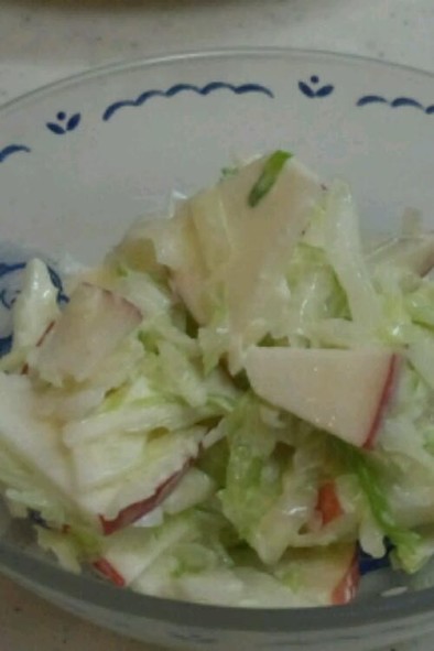 リンゴとキャベツの簡単サラダの写真