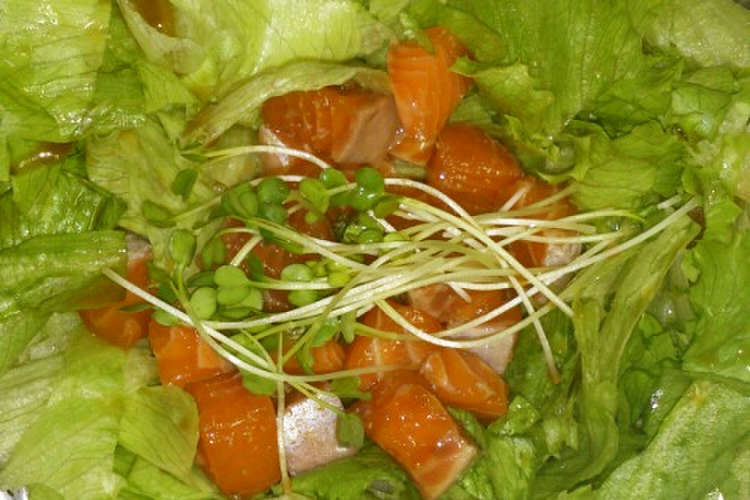 漬けサーモンサラダ レシピ 作り方 By Moshinamin クックパッド