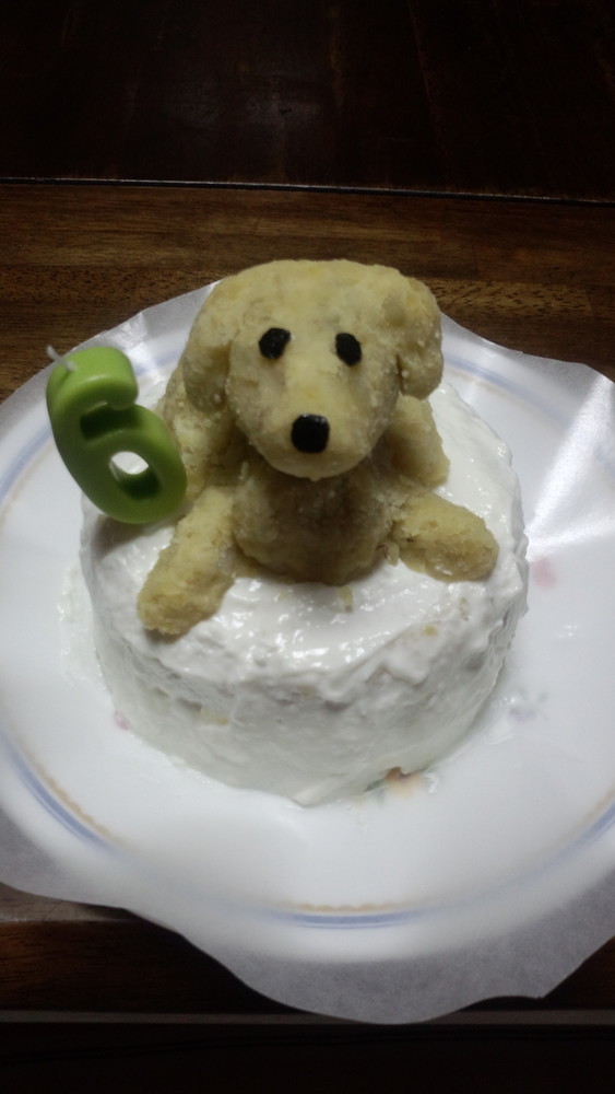 ☆犬用birthdayケーキ☆の画像