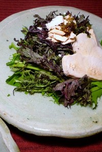 赤からし水菜と蒸し鶏のサラダ　京都カフェ