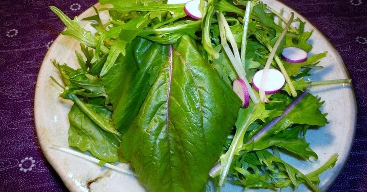 農薬不使用restaurant salad 農薬不使用　salad野菜詰め合わせ